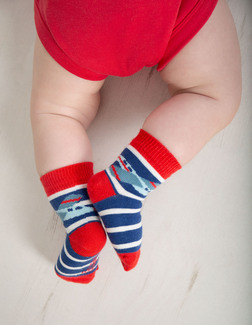 Perfect Little Pair Socks, Plane, 6-12 mon