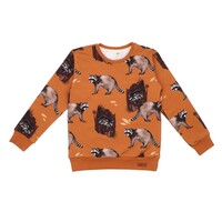 Sweatshirt, Curious Raccoons, braun, von Walkiddy, Gr. 140