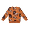 Sweatshirt, Curious Raccoons, braun, von Walkiddy, Gr. 92