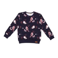 Sweatshirt, Little Sparrows, dunkelblau, von Walkiddy, Gr. 92