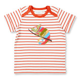 TOBI Baby-T-Shirt, Rusty Red-gestreift mit Chamäleon, von Sense Organics, Gr. 62/68 (3-6 Monate)