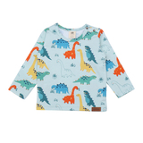 Shirt, Baby Dinosaurs, von Walkiddy, Gr. 62/68