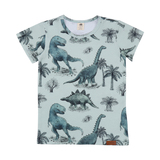 T-Shirt, Dinosaurland, von Walkiddy, Gr. 152