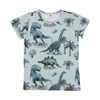 T-Shirt, Dinosaurland, von Walkiddy, Gr. 134