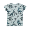 T-Shirt, Dinosaurland, von Walkiddy, Gr. 152