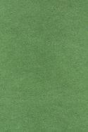 Sweatshirt von Leela Cotton, waldgrün, 86/92